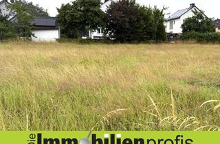 Grundstück zu kaufen in 95234 Sparneck, 1698 - Schönes Baugrundstück am Fuße des Waldsteins