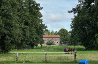 Grundstück zu kaufen in 16356 Werneuchen, Großes, familienfreundliches Baugrundstück in Werneuchen – Viel Grün und Naturnähe am Erpe-Fließ