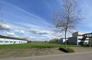 Gewerbeimmobilie mieten in 40670 Meerbusch, Freifläche von ca. 2.900 m² für Autohandel oder als Autovermietungsplatz in Meerbusch-Strümp