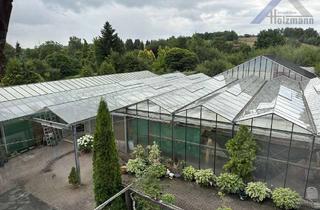 Gewerbeimmobilie kaufen in 37441 Bad Sachsa, Grundstücke mit einer Gesamtgröße von ca. 13.764 m² in Bad Sachsa - Holzmann Immobilien