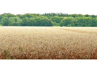 Gewerbeimmobilie kaufen in 19386 Passow, NO FARMER - NO FOOD - NO FUTURE