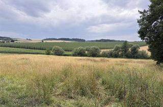Gewerbeimmobilie kaufen in 84098 Hohenthann, Landwirtschaftliche Fläche in der Gemarkung Petersglaim bei Hohenthann zu verkaufen!