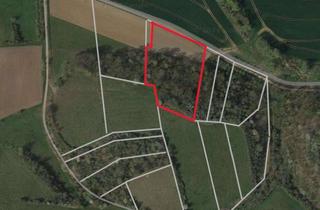 Gewerbeimmobilie kaufen in 06536 Bennungen, ***0,66 ha