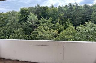 Wohnung mieten in Kantstraße 36, 67663 Innenstadt, Vollständig renovierte 3-Zimmer-Wohnung mit Balkon und EBK in Kaiserslautern