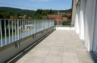 Wohnung mieten in Trailhöfer Straße 23, 71549 Auenwald, ERSTBEZUG: Exklusive 4,5-Zimmer-Wohnung mit gehobener Innenausstattung mit Balkon in Auenwald
