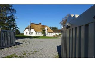 Wohnung mieten in 25924 Klanxbüll, Moderne, wunderschöne 2-Zimmer-Wohnung unter Reet vor den Toren von Sylt.
