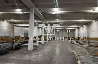 Büro zu mieten in 71665 Vaihingen an der Enz, Produktions-/Lagerhalle mit Büroflächen**provisionsfreie Vermietung**