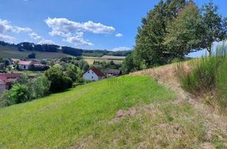 Grundstück zu kaufen in 36275 Kirchheim, PERFEKTE SÜDHANGLAGE MIT PANORAMA - RUHIG, PRIVAT, BAUREIF