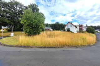 Grundstück zu kaufen in 36166 Haunetal, RUHIGE ORTSRANDLAGE MIT UNVERBAUBARER AUSSICHT - FREIHEIT OHNE BAUZWANG