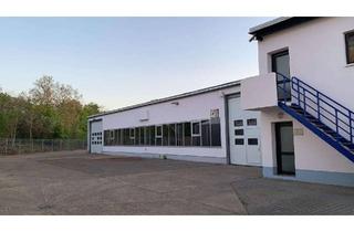 Gewerbeimmobilie mieten in Kreuzholzstraße, 67069 Pfingstweide, Industriegrundstück Ludwigshafen Nachtweide - Metropolregion Rhein-Neckar