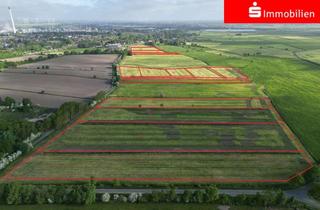 Gewerbeimmobilie kaufen in 25770 Hemmingstedt, 13,5 ha Grünland bei Heide zu verkaufen