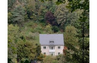 Einfamilienhaus kaufen in 01326 Dresden, Dresden - Haus in romantischer Lage direkt vom Eigentümer