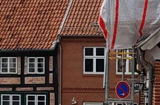 Wohnung mieten in Toitenwinkel, 19243 Wittenburg, Schöne 1-Zimmer-Wohnung in Wittenburg, Mecklenburg