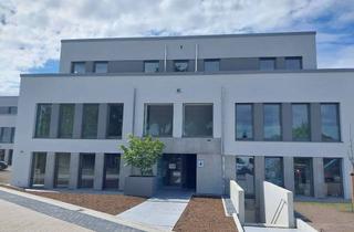 Wohnung mieten in Grüne Straße, 32052 Herford, Moderne 2-Zimmer-Wohnung im Erdgeschoss mit großer Terasse