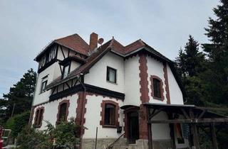 Wohnung mieten in Eginger Straße 57, 94469 Deggendorf, Gewerbeeinheit an Strandpromenade - DEG