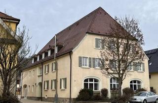 Wohnung mieten in Hauptstraße 23, 74673 Mulfingen, Schöne neuwertige 2-Raum-Erdgeschosswohnung in Mulfingen