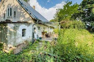 Haus kaufen in 25926 Ladelund, Viel Raum zum Gestalten – Landhaus in ruhiger Lage