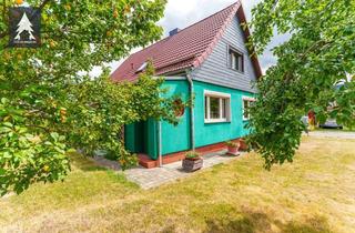 Einfamilienhaus kaufen in 06502 Thale, Ein Traum in Grün – Gepflegtes Einfamilienhaus mit Gartenidylle