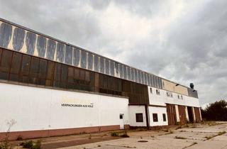 Haus kaufen in 04774 Dahlen, BEEINDRUCKEND 10.000qm Grundstück, 240qm Wohnfläche und 1.000qm Lagerhalle/Werktatt