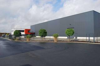 Gewerbeimmobilie kaufen in 59425 Unna, Moderne Produktionshalle mit Kranen und attraktivem Bürogebäude in Top-Lage in Unna - provisionsfrei
