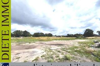 Gewerbeimmobilie mieten in 33758 Schloß Holte-Stukenbrock, Ihr neuer Standort in Stukenbrock-Senne an der Paderborner Str.; 2 Min bis zur A 33