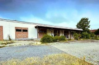 Gewerbeimmobilie mieten in 01471 Radeburg, Strike!