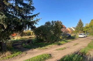 Grundstück zu kaufen in 06217 Merseburg, Attraktives Grundstück in ruhiger Lage - Merseburg-Süd