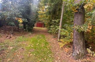 Grundstück zu kaufen in Am Spechthammer 10, 14822 Borkheide, unbebautes Grundstück in Borkheide zu verkaufen