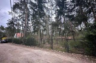 Grundstück zu kaufen in Spechthammer 10, 14822 Borkheide, Baugrundstück in Borkheide zu verkaufen