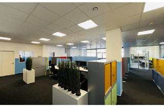 Büro zu mieten in Bruchsaler Straße 22, 68753 Waghäusel, Moderne Bürofläche mit Stellplätzen und Terrasse