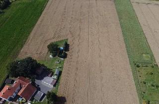 Gewerbeimmobilie kaufen in 32602 Vlotho, Ein Feld voller Möglichkeiten – investieren, gestalten, ernten!