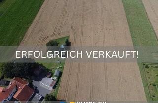 Gewerbeimmobilie kaufen in 32602 Vlotho, Ein Feld voller Möglichkeiten – investieren, gestalten, ernten!