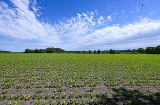 Gewerbeimmobilie kaufen in 38470 Parsau, 140 ha landwirtschaftliche Flächen mit zwei Hofgrundstücken