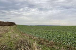 Gewerbeimmobilie kaufen in 06333 Hettstedt, Landwirtschaftsfläche in Endorf; Mindestgebot: 22.500 €; Einzelheiten siehe Exposee!