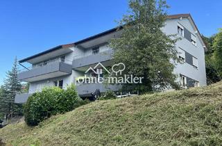Mehrfamilienhaus kaufen in 74842 Billigheim, ***** TOP Kapitalanlage komplettes Mehrfamilienhaus 7 ETW voll vermietet saniert!