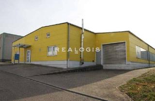 Büro zu mieten in 75196 Remchingen, Lager-/Fertigungshalle mit Büro zu vermieten!