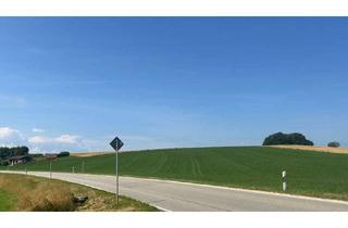 Gewerbeimmobilie kaufen in 83349 Palling, Ackerland zu rund 2,1 Hektar Gemeinde Palling, Gemarkung Freutsmoos