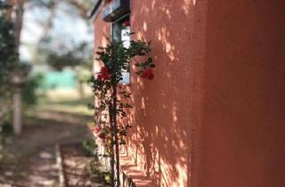 Haus kaufen in 04938 Uebigau, Uebigau-Wahrenbrück - Bungalow zu verkaufen auf Pachtgrundstück im Kleingartenverein