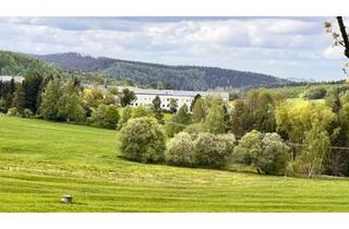 Mehrfamilienhaus kaufen in 09509 Pockau, Pockau-Lengefeld - Haus Mehrfamilienhaus 8% Rendite, Anlageobjekt im Erzgebirge