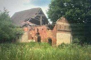 Einfamilienhaus kaufen in 15910 Schönwald, Schönwald - Grundstück mit Gebäuden (Abriss) in Krausnick Spreewald