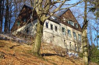 Villa kaufen in 01762 Hartmannsdorf-Reichenau, Hartmannsdorf-Reichenau - Fabrikantenvilla auf Waldgrundstück nahe Dresden