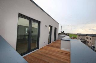 Penthouse mieten in Kranichzug, 52399 Merzenich, 2 Zi. 60 qm Penthouse Wohnung in Merzenich zw. Köln und Aachen