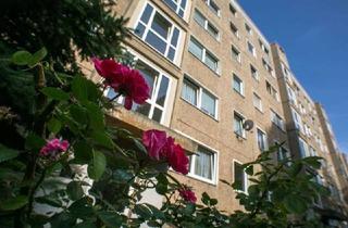 Wohnung mieten in Elsterwerdaer Str. 17, 01239 Prohlis-Süd, Ihr neues Zu Hause - 4 Zimmer Wohnung!