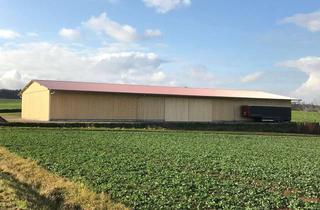 Gewerbeimmobilie mieten in 93107 Thalmassing, Landwirtschaftliche Mehrzweckhalle m. PV-Anlage im südl. Landkreis Regensburg!