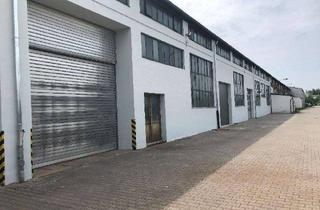 Gewerbeimmobilie mieten in Gutenbergstraße 25, 04178 Böhlitz-Ehrenberg, Praktische Lagerhalle mit Sektionaltoren - Größe ca. 566 m²