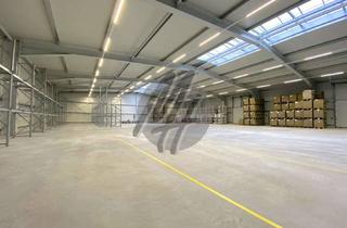 Büro zu mieten in 63150 Heusenstamm, SCHNELL VERFÜGBAR ✓ RAMPE + EBEN ✓ Lagerflächen (700 m²) & Büro-/Sozialflächen (100 m²) zu vermieten