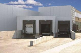 Gewerbeimmobilie mieten in Roscheider Straße, 54329 Konz, Hallen-/Produktionsflächen von 3.046 - 4.136 m²