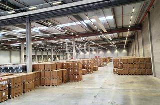 Gewerbeimmobilie mieten in 67346 Speyer, 7.300 m² Logistik mit 13 Rampen und ebenerdigem Tor