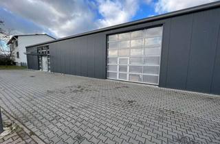 Gewerbeimmobilie mieten in Heinrich-Wieland-Straße 13, 55218 Ingelheim, Repräsentative Lager- und Ausstellungshalle in exponierter Lage