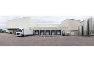 Gewerbeimmobilie mieten in 55294 Bodenheim, Bezug Januar 2026 - Logistikfläche an der A63 - PROVISIONSFREI